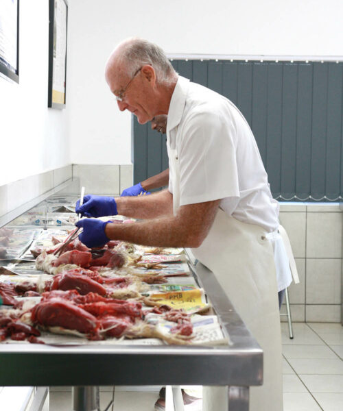 Midlands Poultry Health Centre