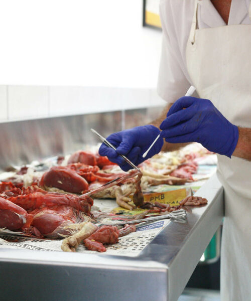 Midlands Poultry Health Centre