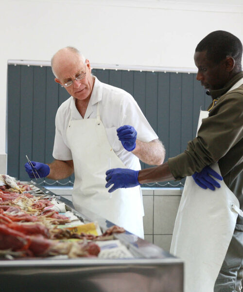 Midlands Poultry Health Centre