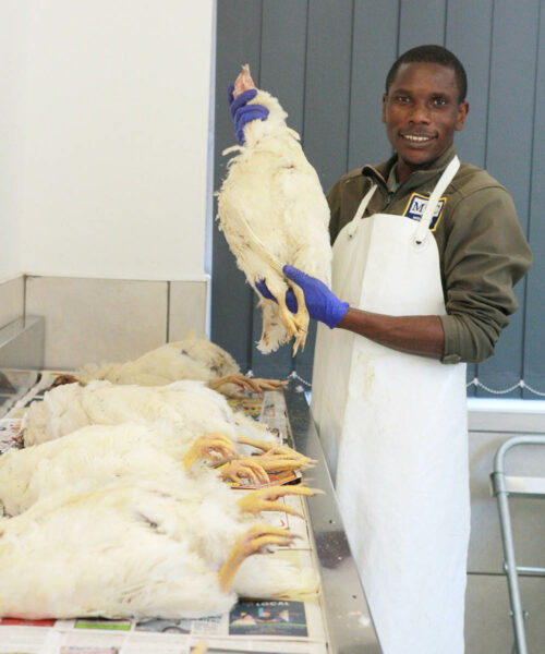 Midlands Poultry Health Centre