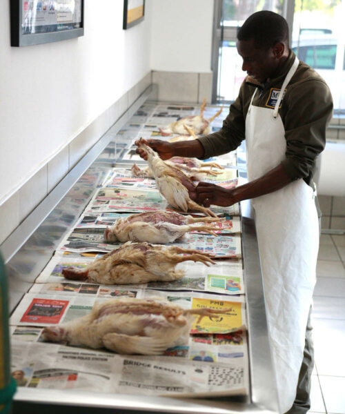 Midlands Poultry Health Centre