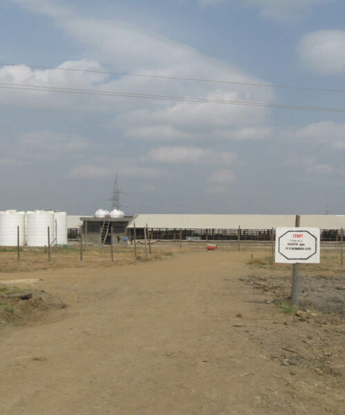 Midlands Poultry Health Centre