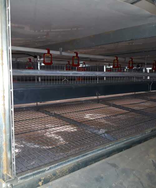 Midlands Poultry Health Centre
