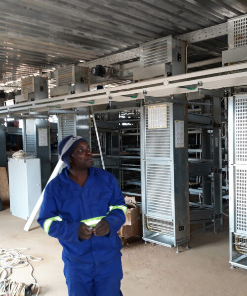 Midlands Poultry Health Centre