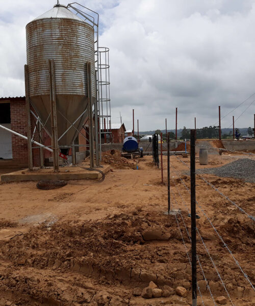 Midlands Poultry Health Centre