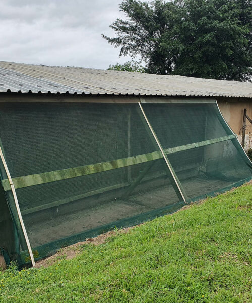 Midlands Poultry Health Centre