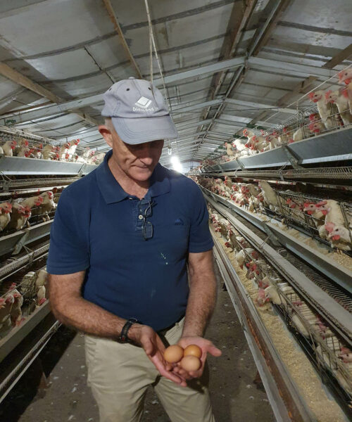 Midlands Poultry Health Centre