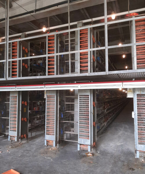 Midlands Poultry Health Centre