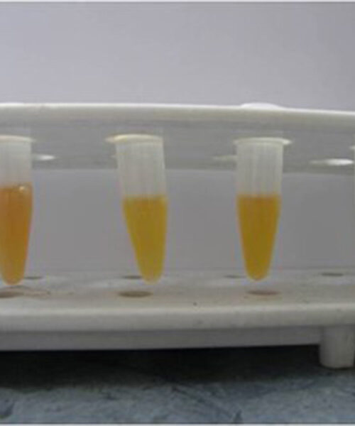Midlands Poultry Health Centre