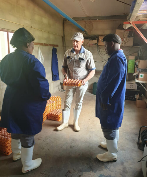 Midlands Poultry Health Centre