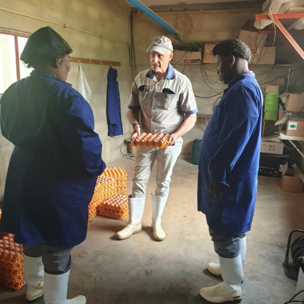Midlands Poultry Health Centre