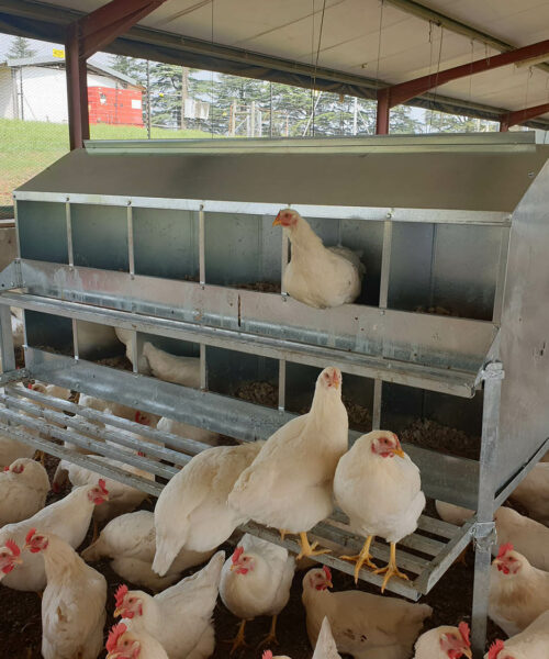 Midlands Poultry Health Centre