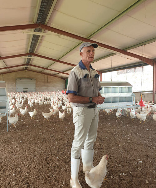Midlands Poultry Health Centre