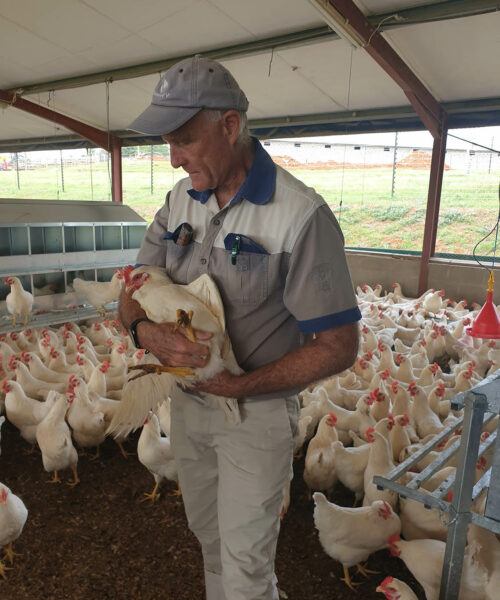 Midlands Poultry Health Centre