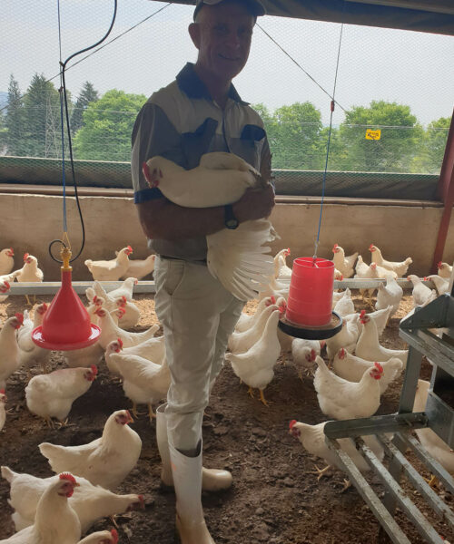 Midlands Poultry Health Centre