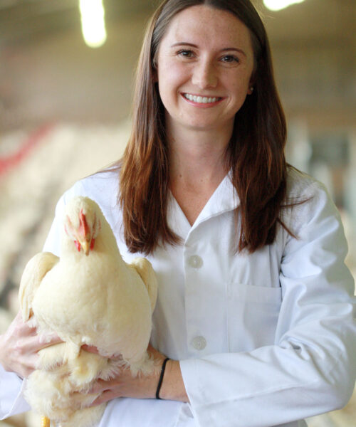 Midlands Poultry Health Centre