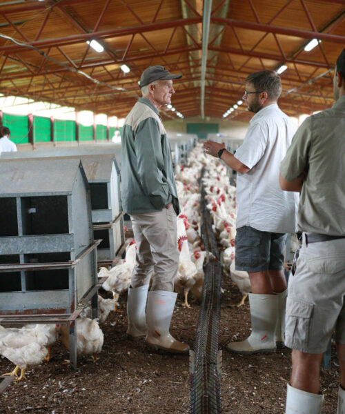 Midlands Poultry Health Centre