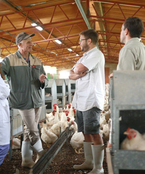 Midlands Poultry Health Centre