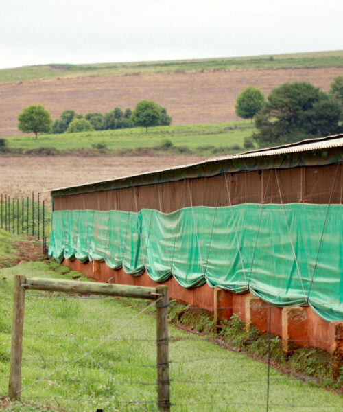 Midlands Poultry Health Centre